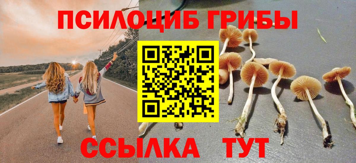 Псилоцибиновые грибы мицелий  Вход с VPN  Курчалой 
